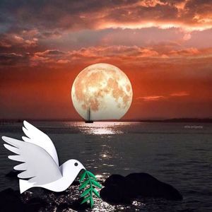 Meet your Posher, Firas